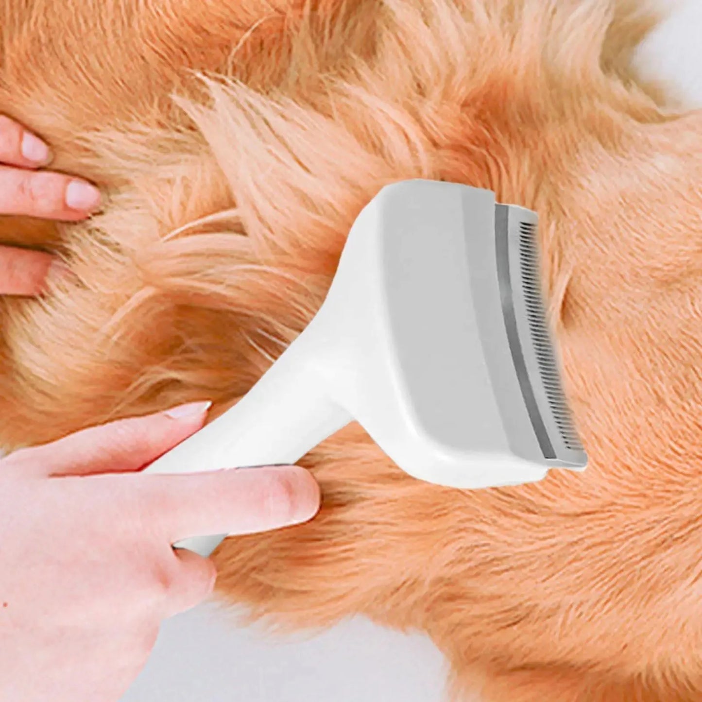 Deshedding brush available colour options