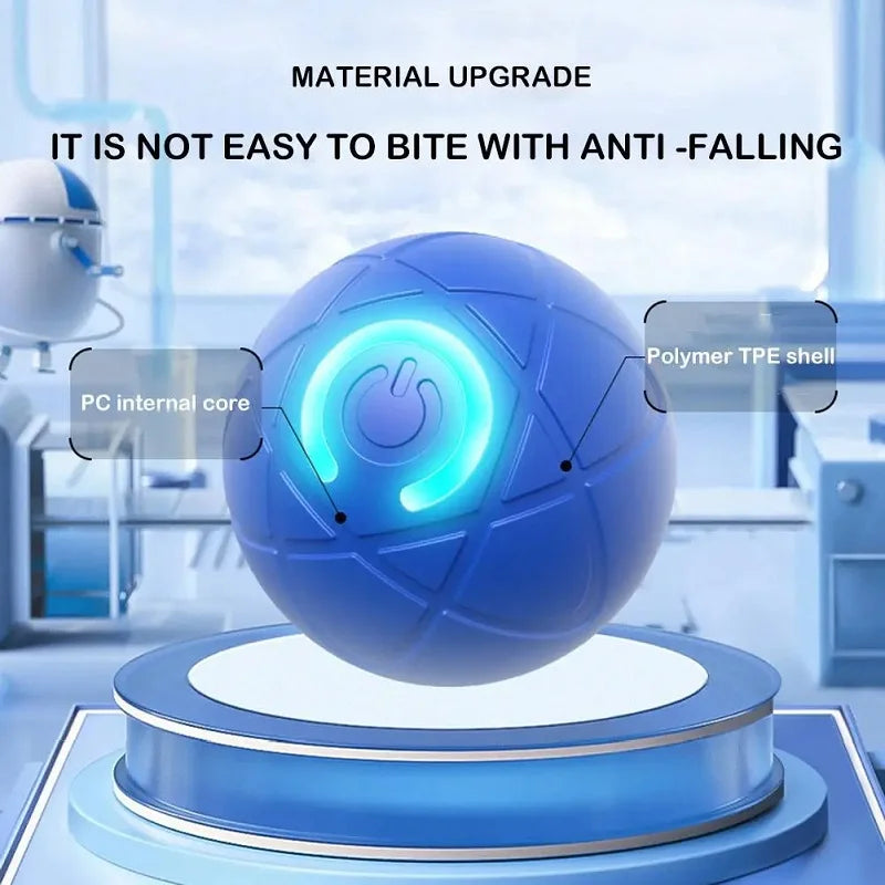 Dog playing with the self-rolling pet ball