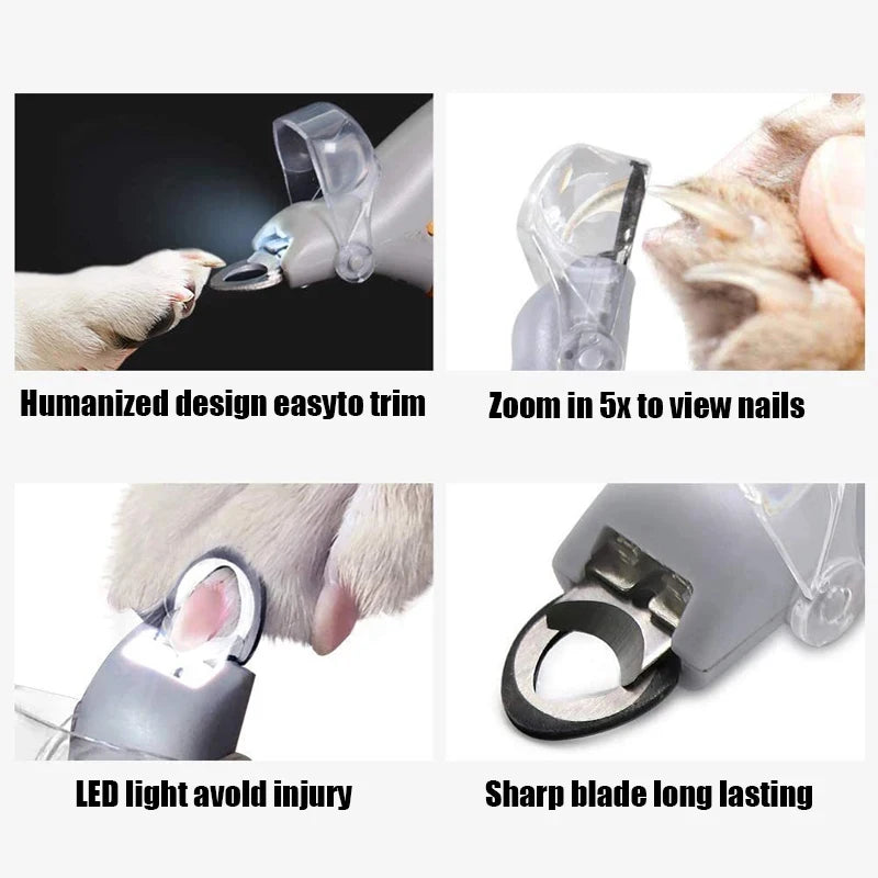 LED nail clipper trimming a dog's nail