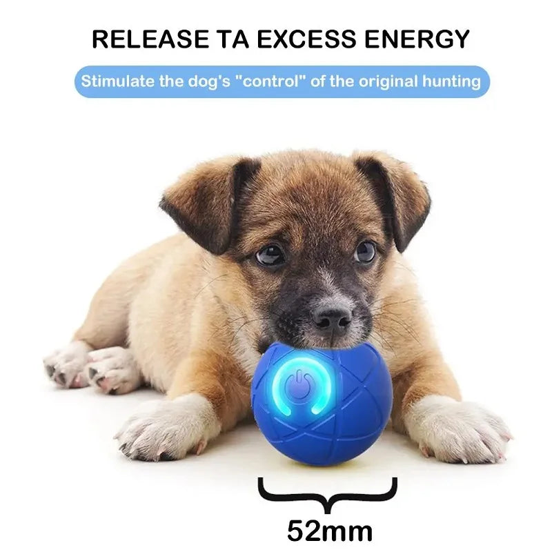 Interactive pet ball USB charging port