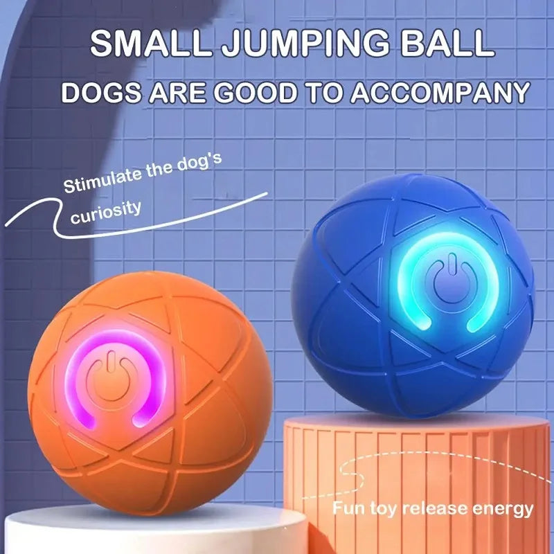 Cat chasing the self-rolling interactive pet ball